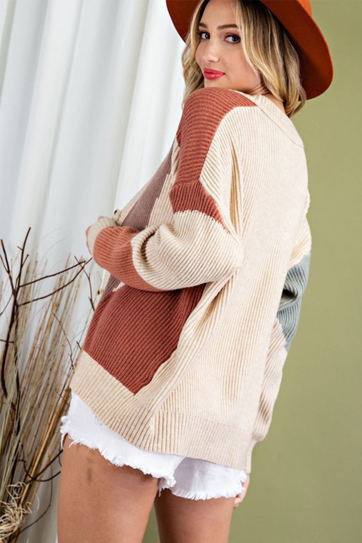Colorblock Button Front Cardigan in Sage